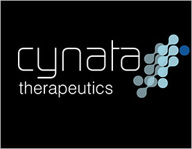Cynata’s Cymerus™ MSCs Effective in Preclinical Model of Diabetic Wounds