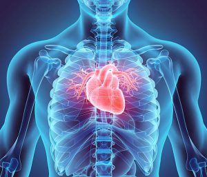 Over 182,000 Heart Valve Replacements Per Year in the United States