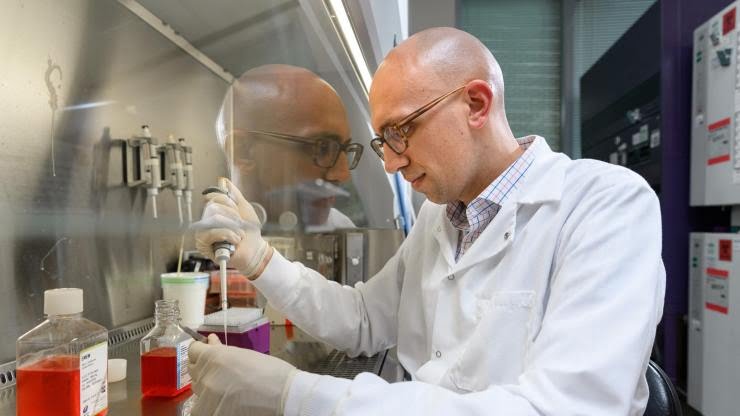Researchers have Developed a Protein-Loaded Antimicrobial Hydrogel to Treat and Prevent Bone Infections