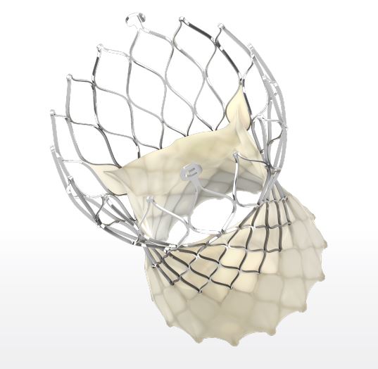 TAVR Procedures with Cerebral Embolic Protection to Grow by 300%– New Market Research
