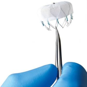 Everything You Need to Know About the Global Left Atrial Appendage Closure Device Market