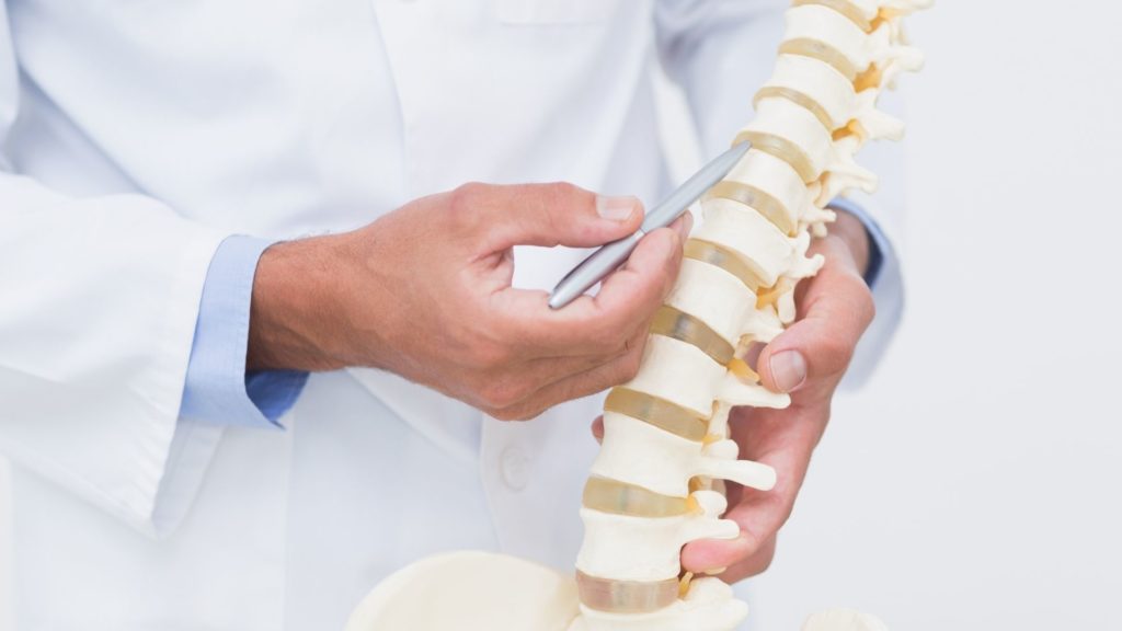 Doctor Pointing at Spine