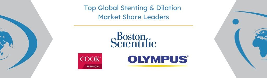 Top Global Stenting & Dilation Market Share Leaders - iData Research