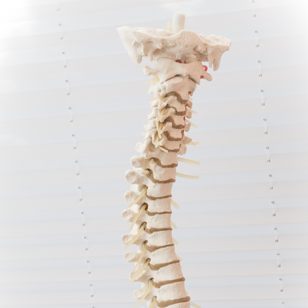 spinal implant