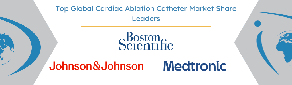 Top Global Cardiac Ablation Catheter Market Share Leaders