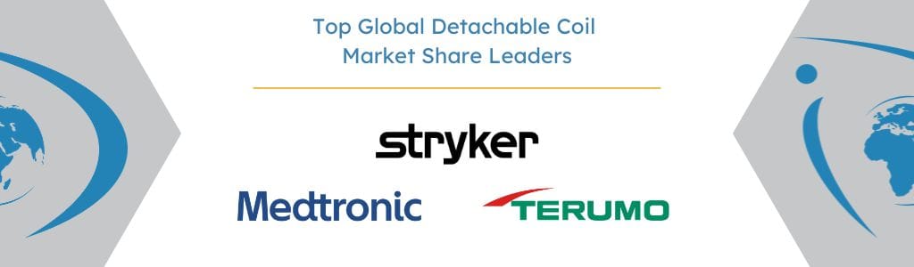 Top Global Detachable Coil Market Share Leaders - iData Research