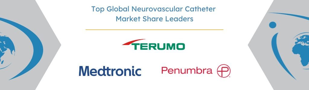 Top Global Neurovascular Catheter Market Share Leaders - iData Research