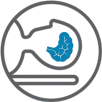 Imaging devices market reports blue idata research