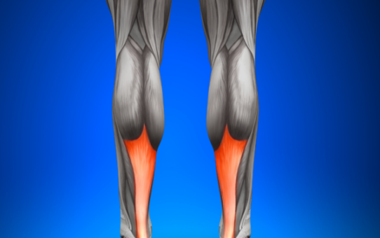 A Year of Advances: US Soft Tissue Repair Market's Remarkable Developments in 2022