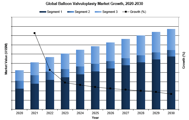 Global Balloon Valvuloplasty Market