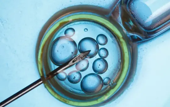 Everything you Need to Know About the European Assisted Reproduction Technology Market