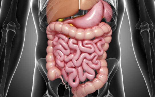 Key Growth Drivers in the European Gastrointestinal Endoscopic Device Market