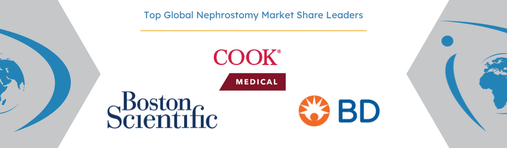 Top Global Nephrostomy Competitors