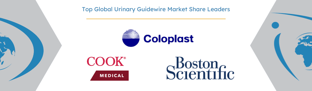 Top Urinary Guidewire Market Share Leaders
