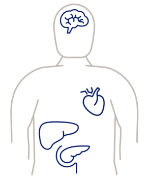 Kas yra GLP-1 receptorių agonistai