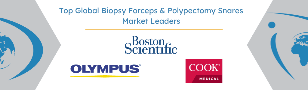 Top Global Biopsy Forceps & Polypectomy Snares Market Leaders