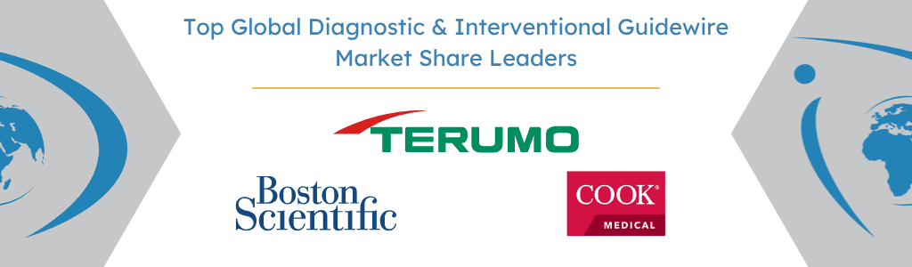 Top Global Diagnostic & Interventional Guidewire Market Share Leaders