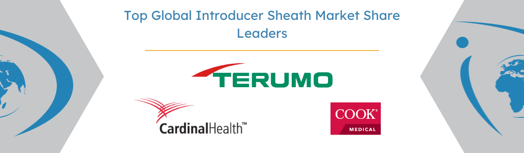 Top Global Introducer Sheath Market Share Leaders