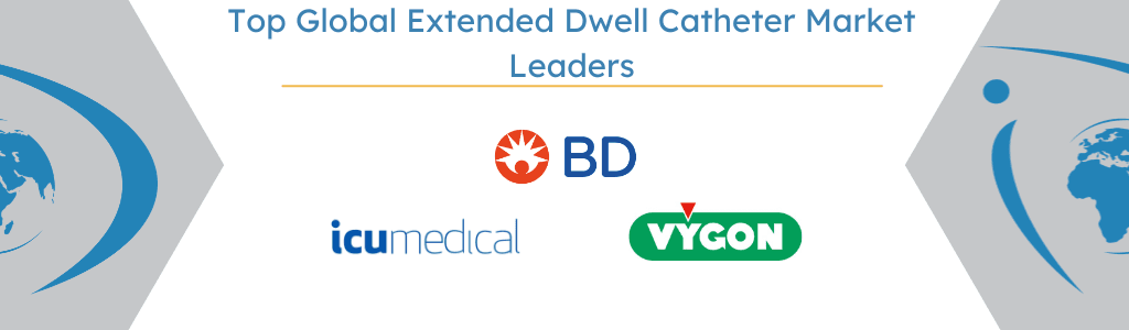 Top Global Extended Dwell Catheter Market Leaders