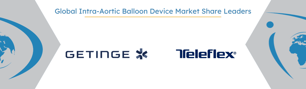 Global Intra-Aortic Balloon Device Market Share Leaders