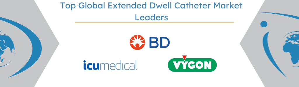 Top Global Extended Dwell Catheter Market Leaders