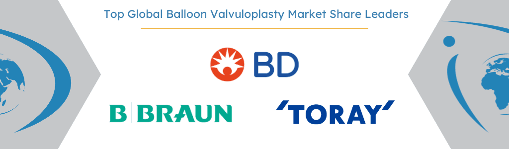 Top Global Balloon Valvuloplasty Market Share Leaders