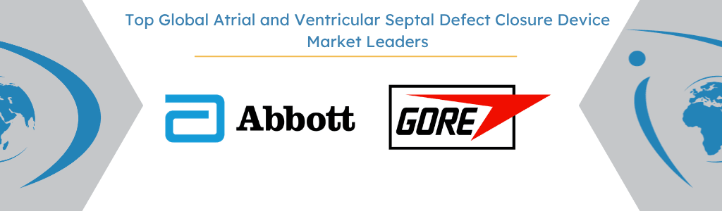 Top Global Atrial and Ventricular Septal Defect Closure Device Market Leaders