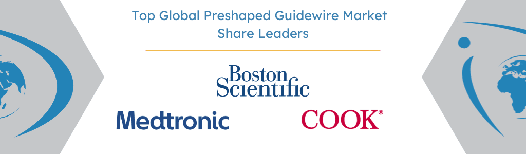 Top Global Preshaped Guidewire Market Share Leaders