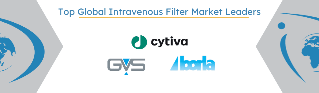 Top Global Intravenous Filter Market Leaders